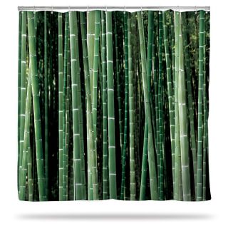 Birch and Bamboo Shower Curtains