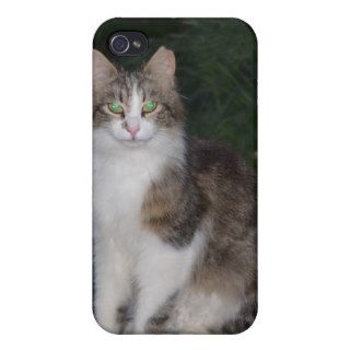 Cat Green Eyes with Firefly iPhone 4/4S Case