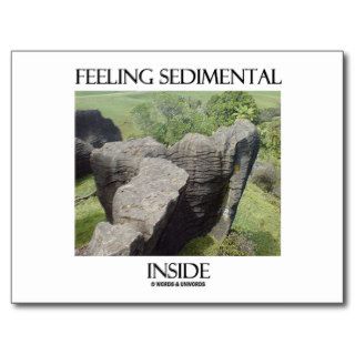Feeling Sedimental Inside Limestone Geology Humor Post Card