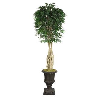 Laura Ashley 92 Tall Willow Ficus With Multiple Trunks In 16 Fiberstone Planter