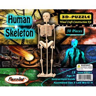 Human Skeleton   3D Jigsaw Woodcraft Kit Wooden Puzzle Toys & Games