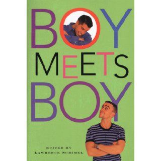 Boy Meets Boy Lawrence Schimel 9780312206369 Books