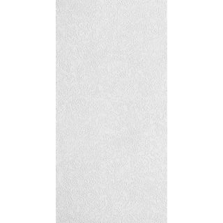 Armstrong 16 Pack Esprit Fiberglass Contractor Ceiling Tile Panel (Common 24 in x 48 in; Actual 23.625 in x 47.625 in)