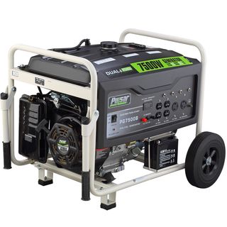 Pulsar Products 7,500 watt Dual fuel Portable Generator With Electric Start