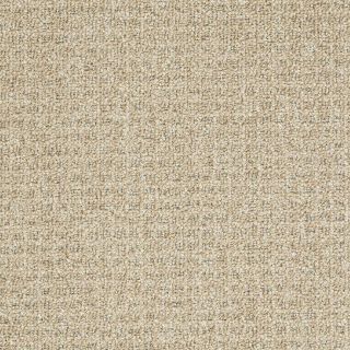 Shaw Casual Breeze Straw Weave Outdoor Carpet