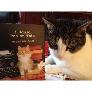 I Could Pee on This And Other Poems by Cats Francesco Marciuliano 9781452110585 Books