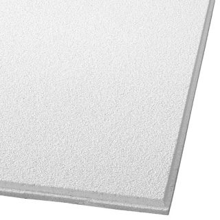 Armstrong 10 Pack Dune Second Look Ceiling Tile Panel (Common 24 in x 48 in; Actual 23.745 in x 47.745 in)
