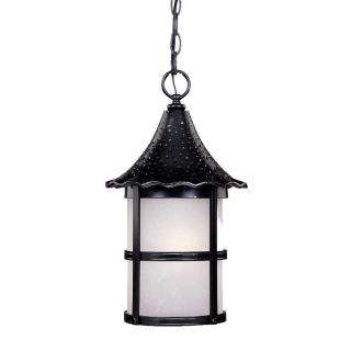 Ashton Collection Hanging Lantern 1 light Outdoor Matte Black Light Fixture