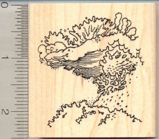 Coral Reef Rubber Stamp