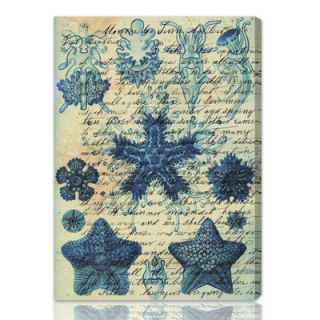 Oliver Gal Starfish in Blue Graphic Art on Canvas 10262 Size 10 x 14