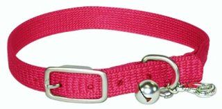 Hamilton 3/8 Inch by 12 Inch Safety Cat Collar with Bell, Raspberry  Pet Collars 