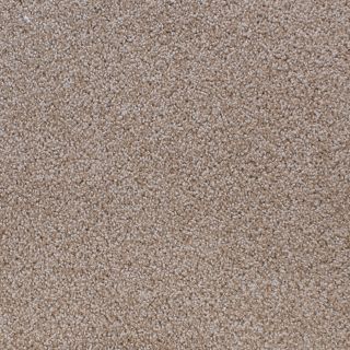 STAINMASTER Active Family Oak Grove Brown Cut and Loop Indoor Carpet