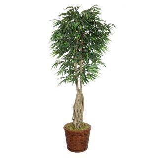Laura Ashley 83 inch Tall Willow Ficus With Multiple Trunks In Fiberstone Planter
