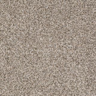 Shaw 7L52900115 Cream Textured Indoor Carpet