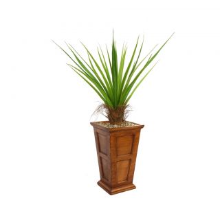 Laura Ashley 63 Tall Agave Plant With Cocoa Skin In 16 Fiberstone Planter