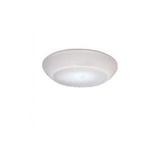 Zaneen Lighting Delphinia Wall or Ceiling Flush Mount D8 20 Size 8 Dia. / 1