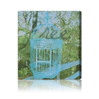 Oliver Gal Free II Graphic Art on Canvas 10182 Size 20 x 25