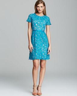 Adrianna Papell Dress   Short Sleeve Lace Fit and Flare's