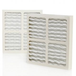 Hunter Replacement Filter 2 pack