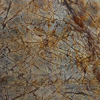 Marble Systems 10 Pack NBS Rainforest Brown Natural Stone Wall Tile (Common 12 in x 12 in; Actual 12 in x 12 in)