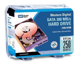 Western Digital WD2500KSRTL Caviar SE16 250 GB SATA 3.5 Inch Hard Drive Kit Electronics