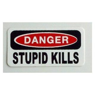 3   Danger Stupid Kills Hard Hat / Helmet Stickers 1" x 2" Automotive