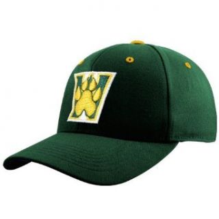 NCAA Top of the World Wright State Raiders Green Team Logo One Fit Hat Clothing