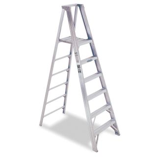 Werner 6 ft Aluminum 375 lb Type IAA Platform Ladder
