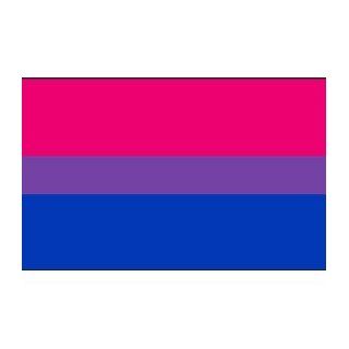 Gay Rainbow Sisters Flag Sticker Bisexual Pride Flag Automotive