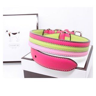 COACH Striped Multicolor Leather Collar with Engraveable Charm 60407 Limited Edition   Lime/Pink, Large (17" 21")  Pet Fashion Collars 