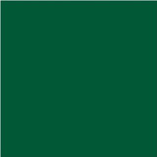 12" x 20 ft Roll of Matte Dark Green Repositionable Adhesive Backed Vinyl for Craft Cutters, Punches and Vinyl Sign Cutters ? Vinyl Ease V1530