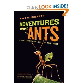 Adventures among Ants A Global Safari with a Cast of Trillions Mark W. Moffett 9780520271289 Books