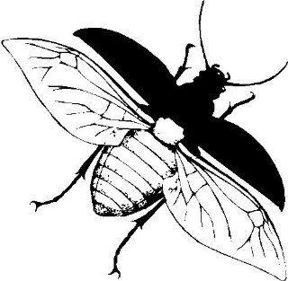 Flying Insect0 #8 8" Printed color sticker decal for any smooth surface such as windows bumpers laptops or any smooth surface. 