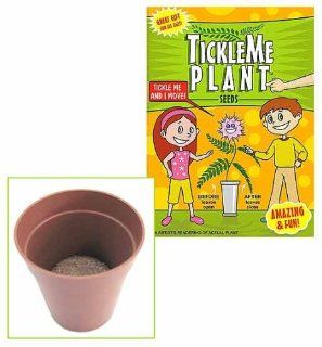 TICKLE ME PLANT BIRTHDAY PARTY FAVOR Toys & Games