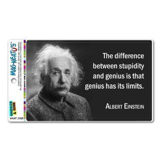 Stupidity Genius Has Limits Einstein   Funny MAG NEATO'STM Automotive Car Refrigerator Locker Vinyl Magnet Automotive