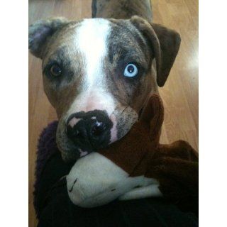 Booda Tuff Plush Rug Dog, Hound Bull Terrier  Pet Squeak Toys 