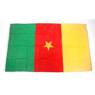 Premiership Soccer Cameroon National Team Flag (300 1080)
