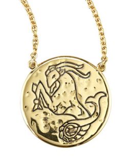 Astrology Necklace, Capricorn   Amy Zerner   Gold