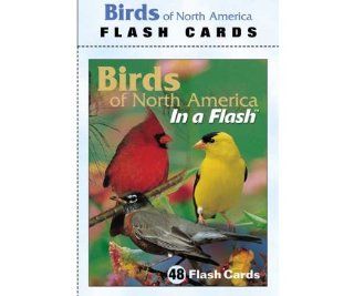 Impact Photographics Flash Cards Birds North American, 48 Different Birds, Educational Information 