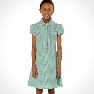 Girls pack of two green summer school uniform dresses