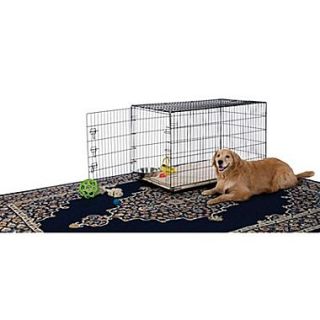 Dog Crates & Yard Kennels