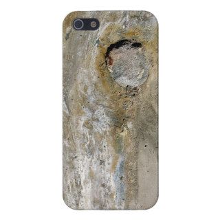 Petrified Wood Knot Case For iPhone 5