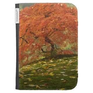 Japanese maple in fall color 3 kindle keyboard covers