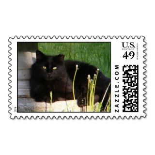 Cat 120 ~ stamp