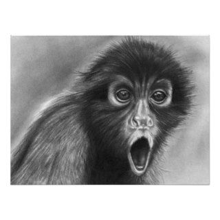 Spider Monkey Print Photo Print