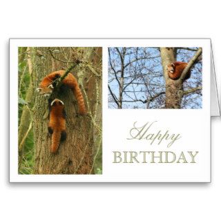 red panda birthday greeting card