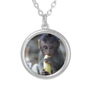 Cute baby macaque monkey eating banana pendants