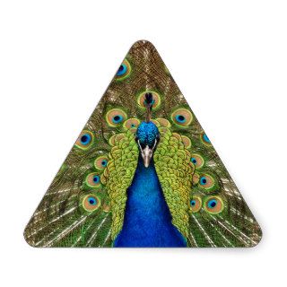 Beautiful peacock and tail feathers print stickers