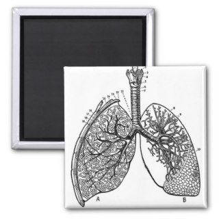 Retro Vintage Kitsch Anatomy Medical Lungs Fridge Magnets