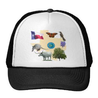 Texas State Symbols Mesh Hat